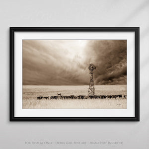 Windmill wall art – Great Plains landscape photography print by Debra Gail Fine Art