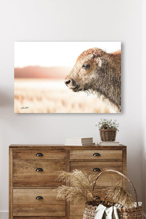Bison wall art – rustic prairie photography print by Debra Gail Fine Art