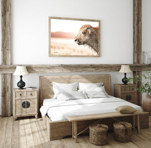 Bison wall art – rustic prairie photography print by Debra Gail Fine Art