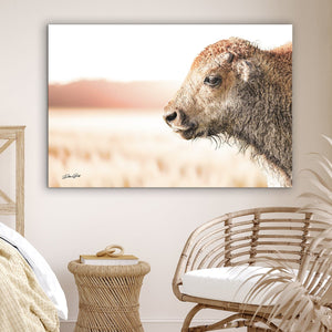 Bison wall art – rustic prairie photography print by Debra Gail Fine Art
