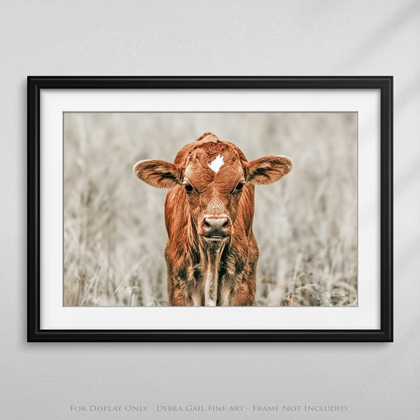 Debra Gail Fine Art CUTE COW CANVAS PICTURE - NURSERY, KIDS, FARMHOUSE DECOR