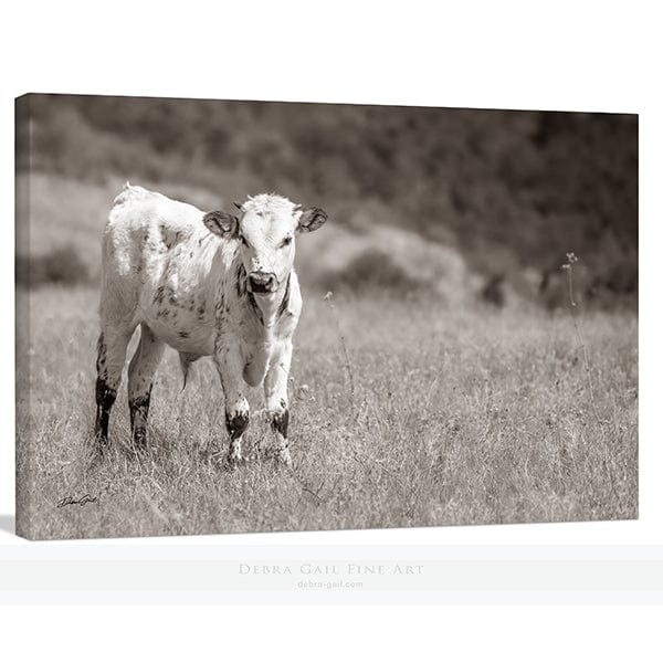 Debra Gail Fine Art Cute Longhorn Calf Print - Farmhouse Decor