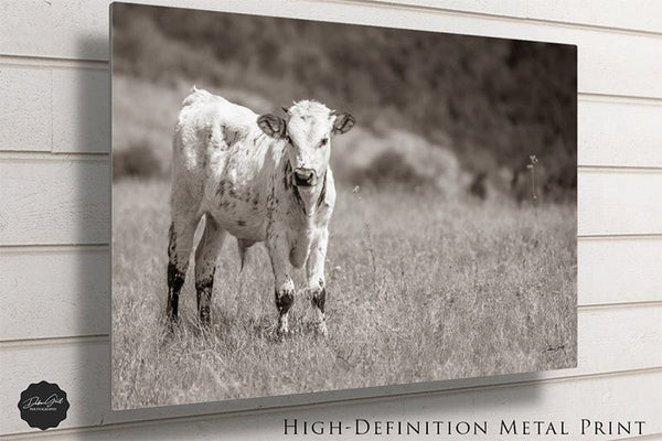 Debra Gail Fine Art Cute Longhorn Calf Print - Farmhouse Decor