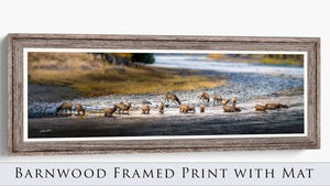 Panoramic elk wall art canvas print – wide Western ranch décor