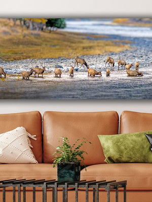 Panoramic elk wall art canvas print – wide Western ranch décor