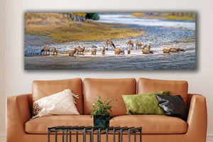 Panoramic elk wall art canvas print – wide Western ranch décor