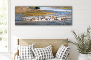Panoramic elk wall art canvas print – wide Western ranch décor