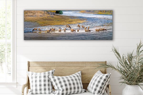 Debra Gail Fine Art ELK HERD IN PARADISE VALLEY - MONTANA PHOTOGRAPHY 3:1