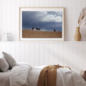 Elk wall art – Western wildlife fine art photography by Debra Gail Fine Art