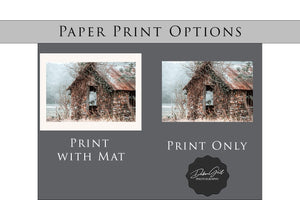 Prairie wall art – home landscape photography print by Debra Gail Fine Art