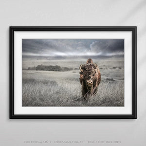 Buffalo fine art print – Great Plains wildlife wall decor by Debra Gail Fine Art