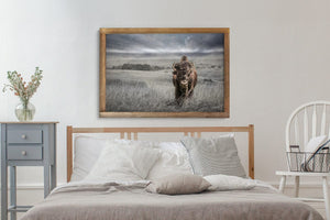 Buffalo fine art print – Great Plains wildlife wall decor by Debra Gail Fine Art
