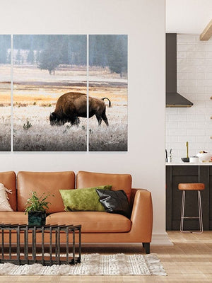 Bison triptych wall art – XL Western split canvas photography by Debra Gail Fine Art