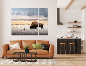 Bison triptych wall art – XL Western split canvas photography by Debra Gail Fine Art