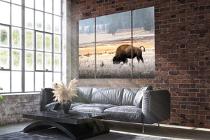 Bison triptych wall art – XL Western split canvas photography by Debra Gail Fine Art