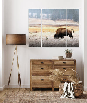 Bison triptych wall art – XL Western split canvas photography by Debra Gail Fine Art