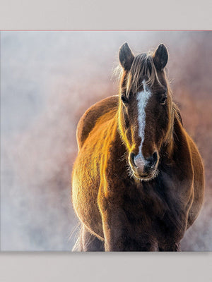 Horse triptych wall art – rustic farmhouse split canvas fine art print