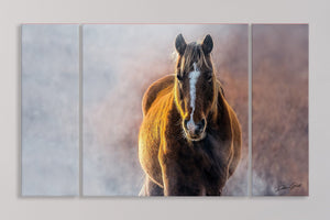 Horse triptych wall art – rustic farmhouse split canvas fine art print