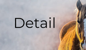 Horse triptych wall art – rustic farmhouse split canvas fine art print