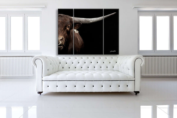 Debra Gail Fine Art EXTRA LARGE TEXAS LONGHORN BULL CLOSE-UP