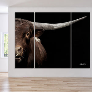 Debra Gail Fine Art EXTRA LARGE TEXAS LONGHORN BULL CLOSE-UP