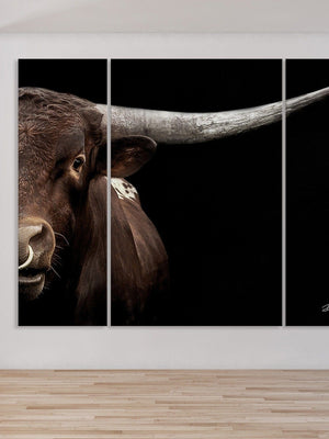 Debra Gail Fine Art EXTRA LARGE TEXAS LONGHORN BULL CLOSE-UP