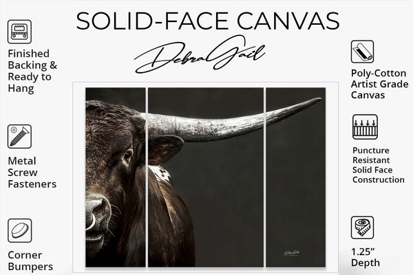 Debra Gail Fine Art EXTRA LARGE TEXAS LONGHORN BULL CLOSE-UP