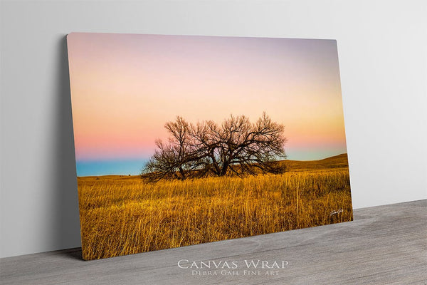 Debra Gail Fine Art Flint Hills Kansas Lone Tree at Sunset | Rustic Wall Art