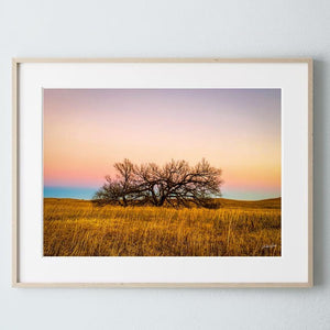 Kansas Flint Hills wall art – sunrise prairie landscape photography by Debra Gail Fine Art