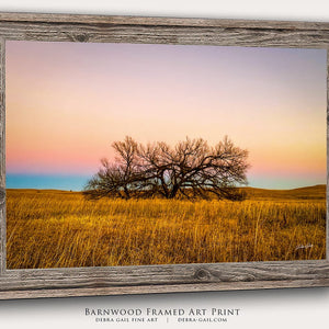 Debra Gail Fine Art Flint Hills Kansas Lone Tree at Sunset | Rustic Wall Art