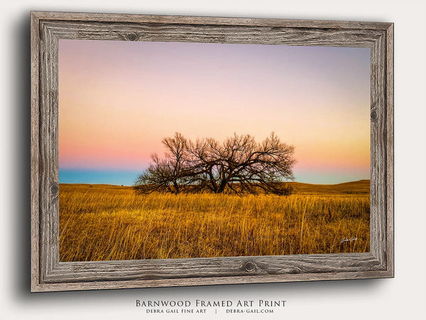 Debra Gail Fine Art Flint Hills Kansas Lone Tree at Sunset | Rustic Wall Art