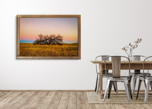 Debra Gail Fine Art Flint Hills Kansas Lone Tree at Sunset | Rustic Wall Art