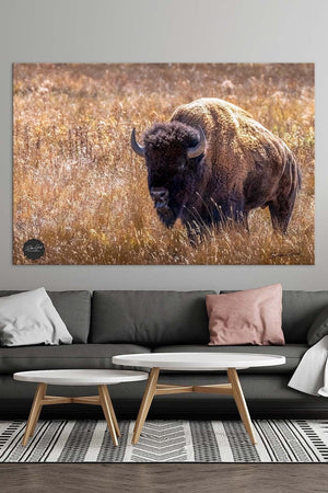 Buffalo Bison wall art canvas – rustic prairie photography print by Debra Gail Fine Art