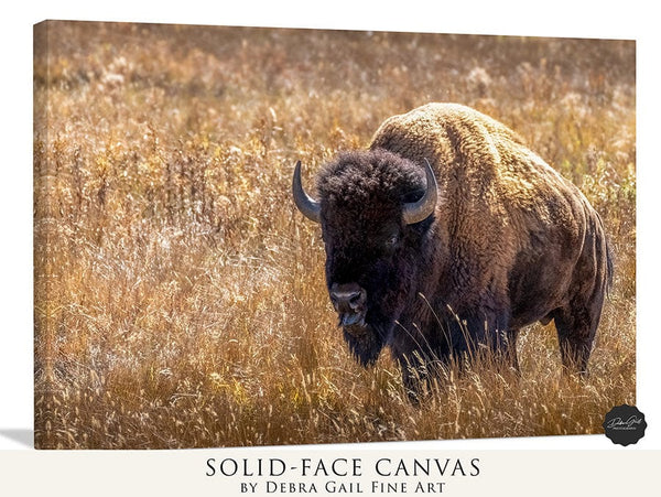 Debra Gail Fine Art GOLDEN BISON BULL - WESTERN DECOR