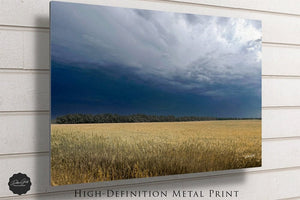 Wheat field wall art – Kansas prairie agriculture photography by Debra Gail Fine Art