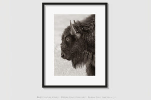 Bison wall art – rustic prairie photography print by Debra Gail Fine Art
