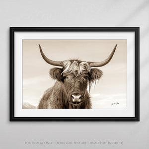 Highland cow wall art – rustic farmhouse fine art print by Debra Gail Fine Art