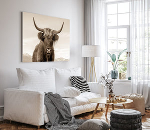 Highland cow wall art – rustic farmhouse fine art print by Debra Gail Fine Art