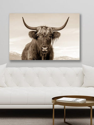 Highland cow wall art – rustic farmhouse fine art print by Debra Gail Fine Art