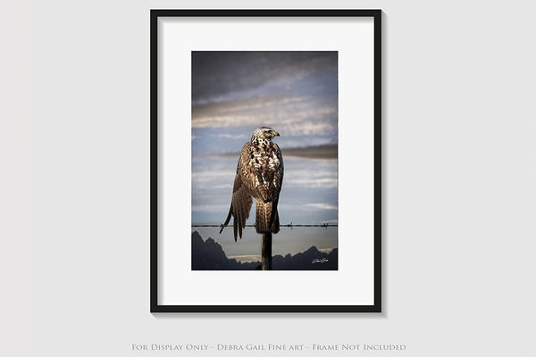 Debra Gail Fine Art HAWK ON THE WIRE - WESTERN GOTHIC FINE ART PRINT