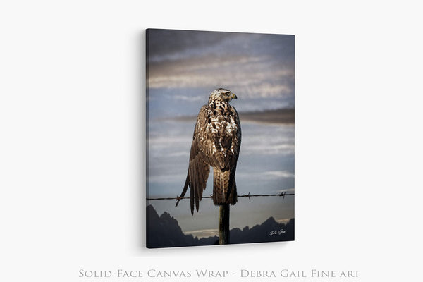 Debra Gail Fine Art HAWK ON THE WIRE - WESTERN GOTHIC FINE ART PRINT