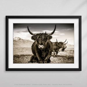 Highland cow wall art – rustic farmhouse fine art print by Debra Gail Fine Art