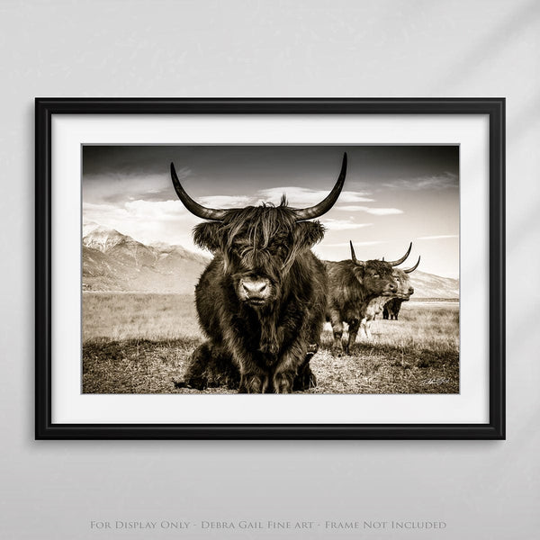 Debra Gail Fine Art Highland Cattle Close Up Sepia Wall Art No. 9659