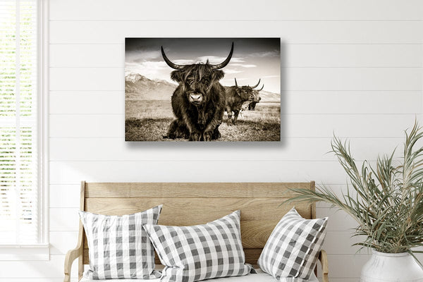 Debra Gail Fine Art Highland Cattle Close Up Sepia Wall Art No. 9659