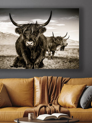 Highland cow wall art – rustic farmhouse fine art print by Debra Gail Fine Art