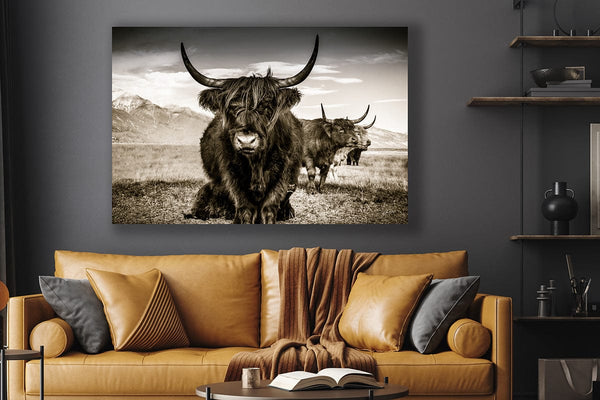 Debra Gail Fine Art Highland Cattle Close Up Sepia Wall Art No. 9659