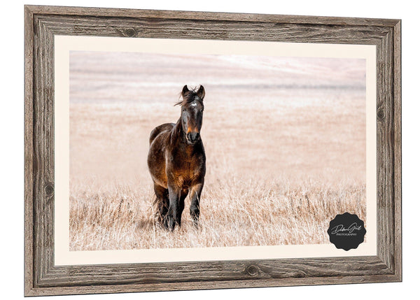 Debra Gail Fine Art HORSE ON THE PRAIRIE - WESTERN DECOR PRINT