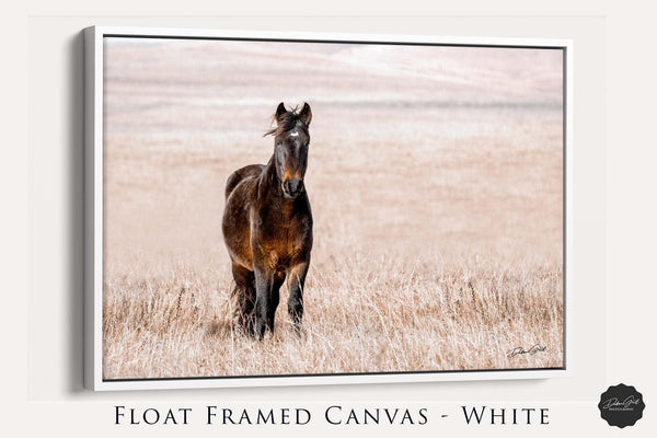 Debra Gail Fine Art HORSE ON THE PRAIRIE - WESTERN DECOR PRINT