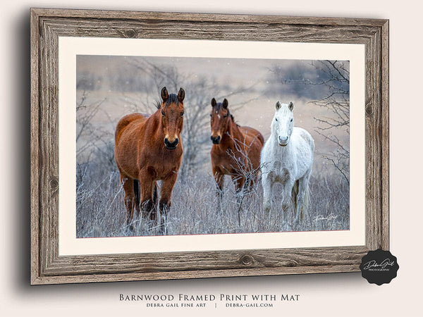 Debra Gail Fine Art HORSES IN WINTER - NATURE PHOTOGRAPHY DECOR