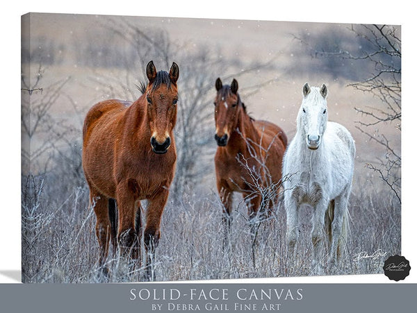 Debra Gail Fine Art HORSES IN WINTER - NATURE PHOTOGRAPHY DECOR